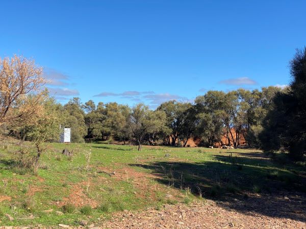 Black Oaks campsite